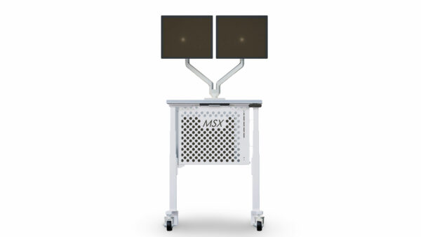 Dual-Monitor Cleanroom Computer Cart