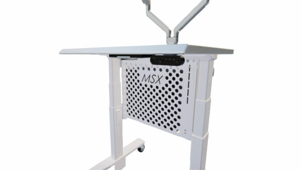Dual-Monitor Cleanroom Computer Cart