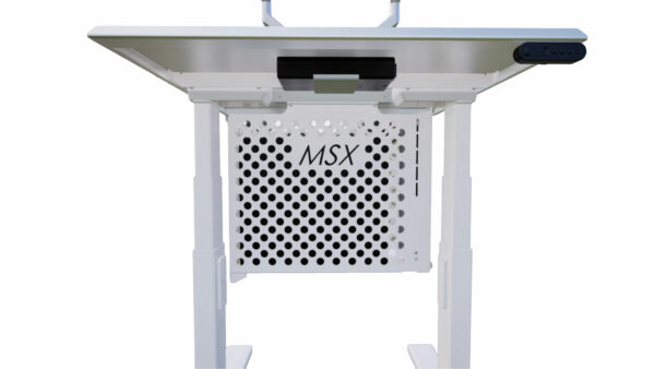 Dual-Monitor Cleanroom Computer Cart