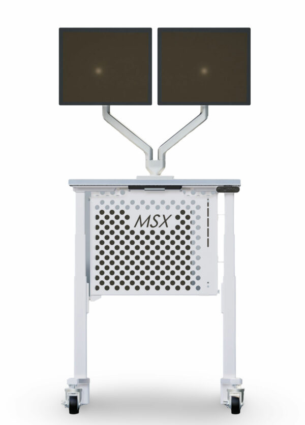 Dual-Monitor Cleanroom Computer Cart