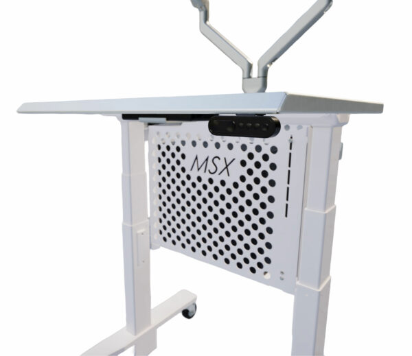 Dual-Monitor Cleanroom Computer Cart